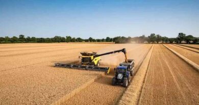 Cosechadora, New Holland, potente, mundo, argentina, maquinaria agrícola
