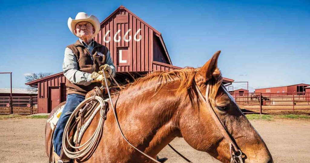 6666 Ranch, campos, grandes, mundo, Ganadería, estados unidos, texas