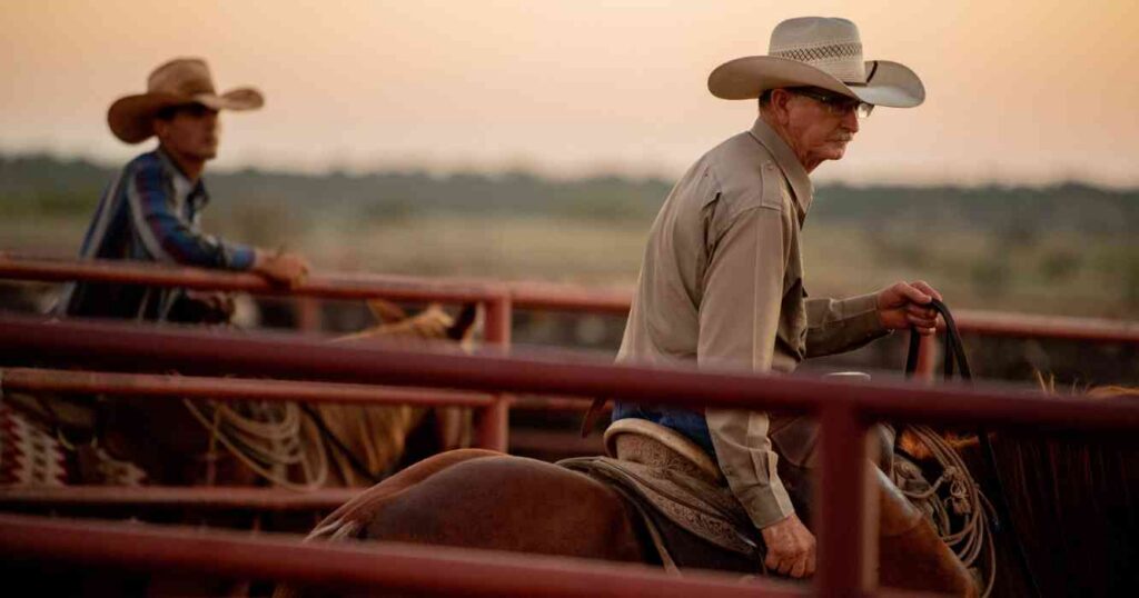 6666 Ranch, campos, grandes, mundo, Ganadería, estados unidos, texas
