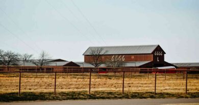 6666 Ranch, campos, grandes, mundo, Ganadería, estados unidos, texas