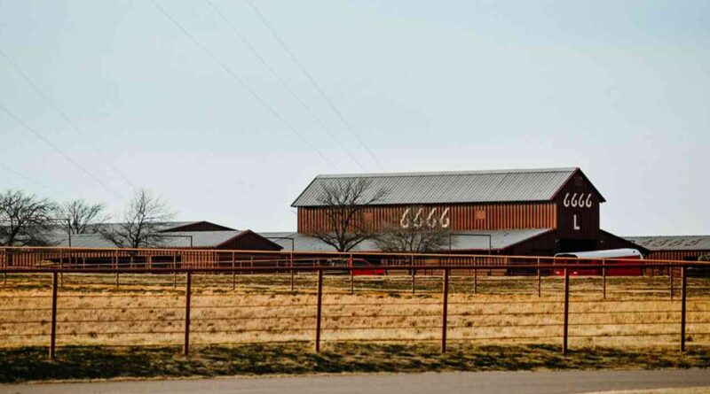 6666 Ranch, campos, grandes, mundo, Ganadería, estados unidos, texas