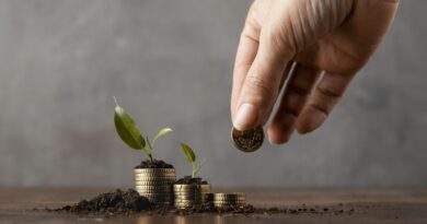 MEVA, Créditos Ambientales