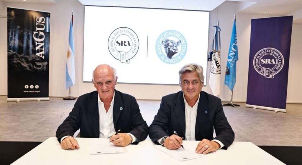 Sociedad Rural Argentina, Angus, Ganadería, Nicolás Pino