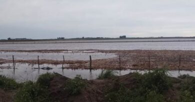 Temporal Bolívar, inundaciones, lluvias, campo