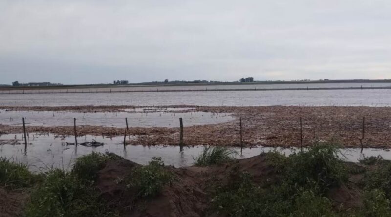 Temporal Bolívar, inundaciones, lluvias, campo