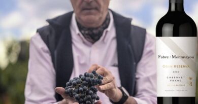 Cabernet Franc, Vino