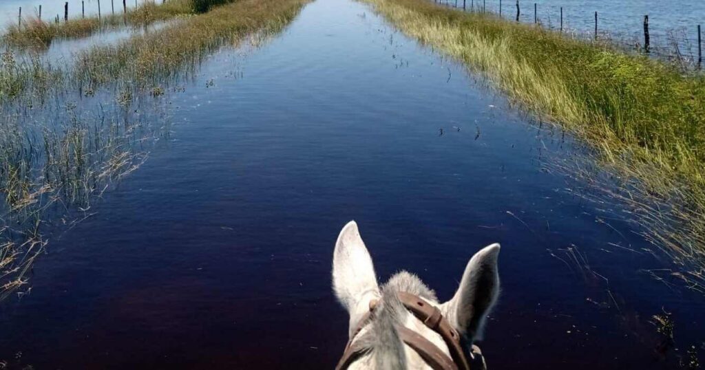 Corrientes, Inundaciones, Campo