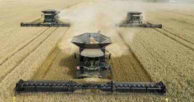 Cosechadora, potente, fendt, agricultura, cosecha