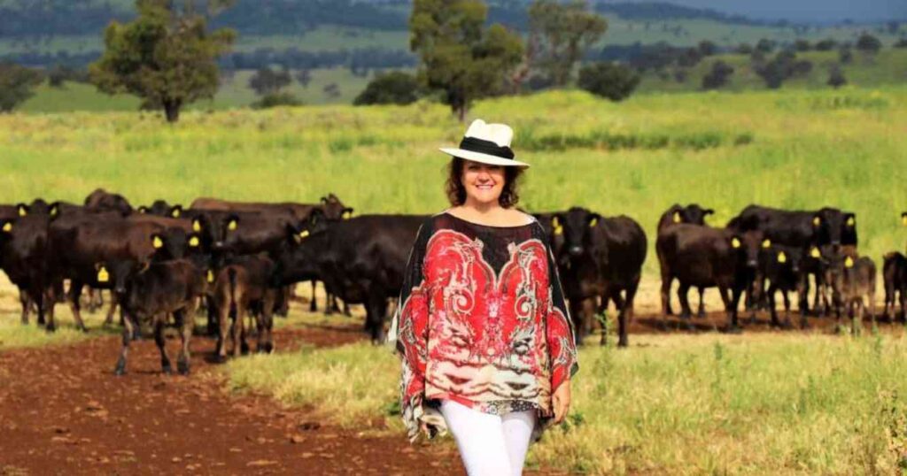 S. Kidman & Co., Ganadería, campo, historia