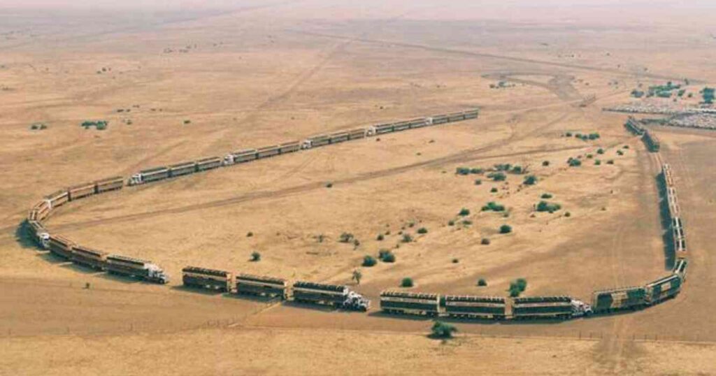 S. Kidman & Co., Ganadería, campo, historia