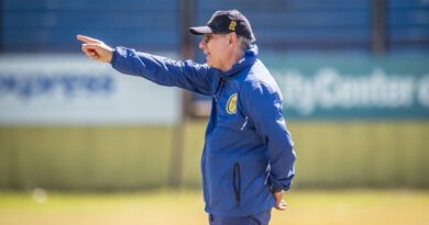 Ariel Holan, Rosario Central