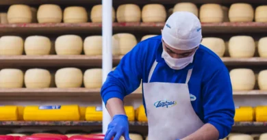 lácteos, quesos, queso