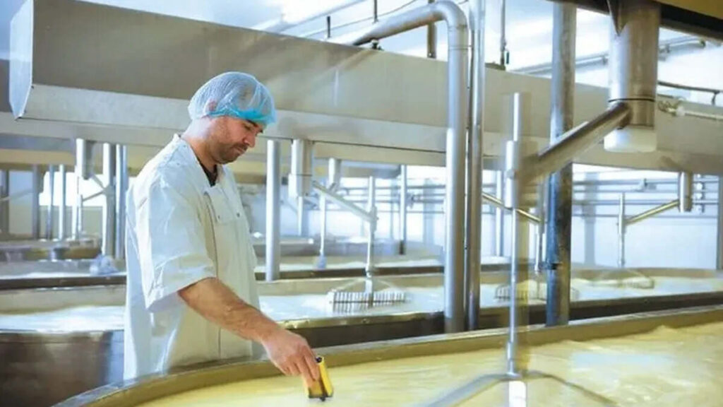 lácteos, exportaciones lácteas