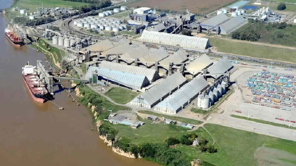 Molinos Agro, exportaciones, barco