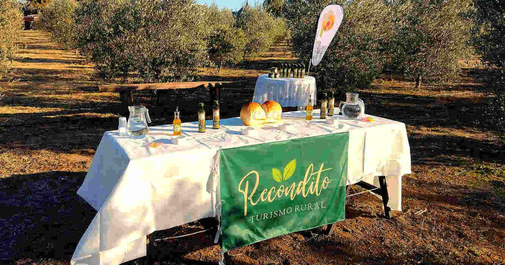 Ruta del Olivo
