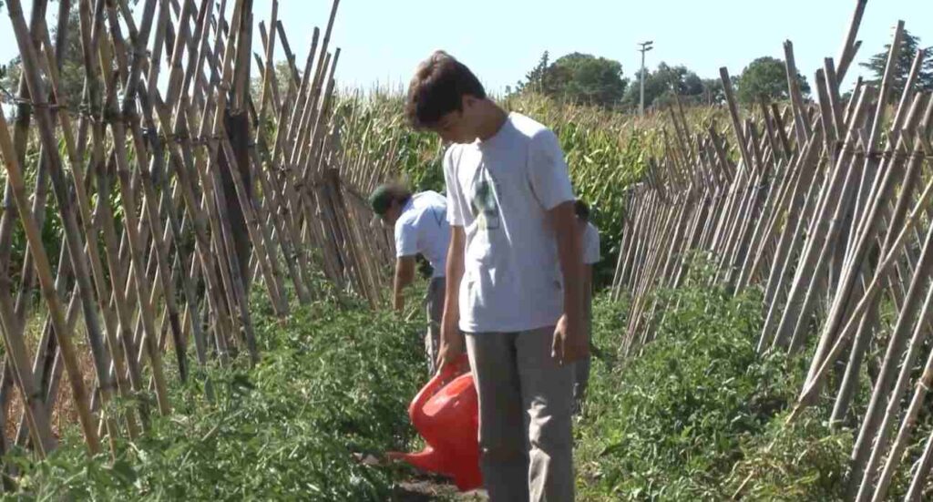 Venado Tuerto, campo