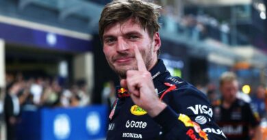 Max Verstappen, GP Abu Dhabi, Fórmula 1