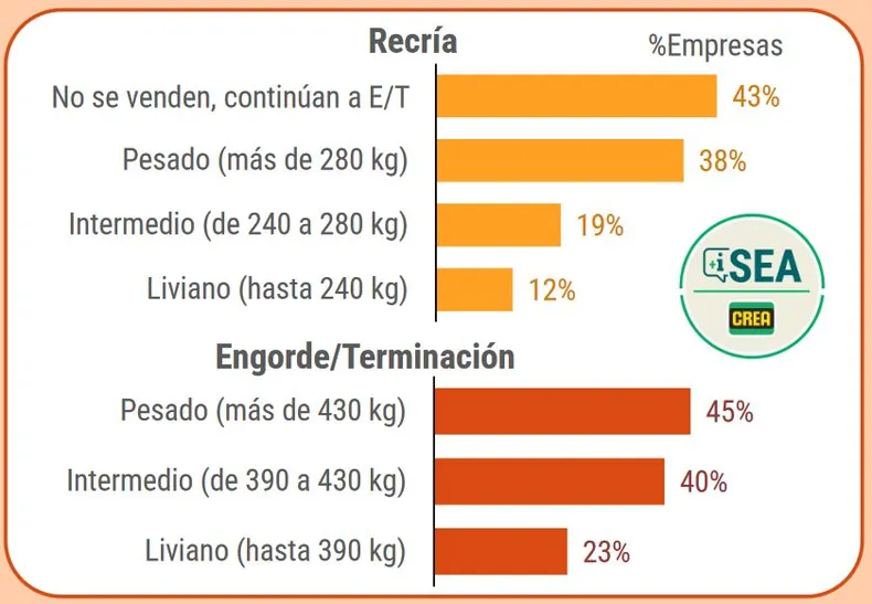 Ganadería, mercados, CREA, Argentina