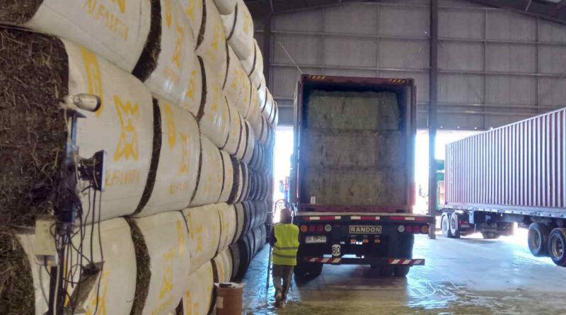 alfalfa, exportaciones