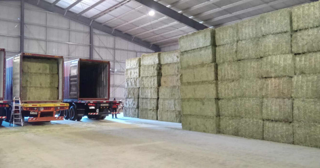 alfalfa, exportaciones
