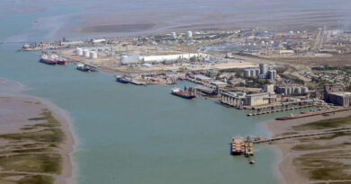 Bahía Blanca, Puerto, Exportaciones