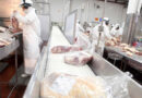 Carne Ovina, exportaciones