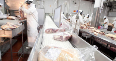 Carne Ovina, exportaciones