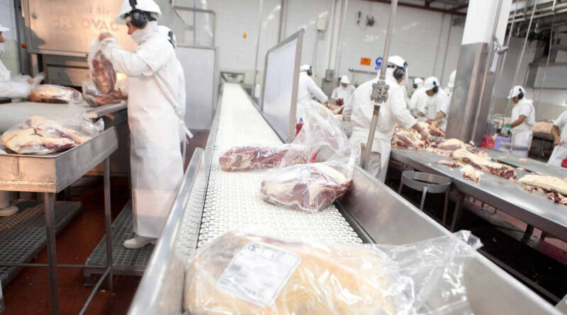 Carne Ovina, exportaciones