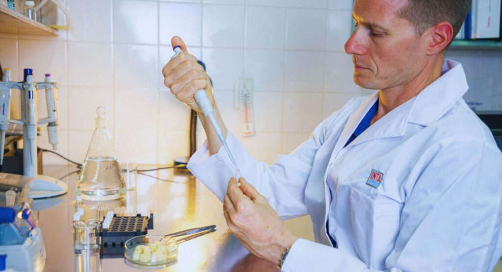 Chips de Mozzarella, INTA