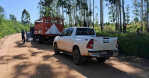 Corrientes, Inseguridad, Abigeato