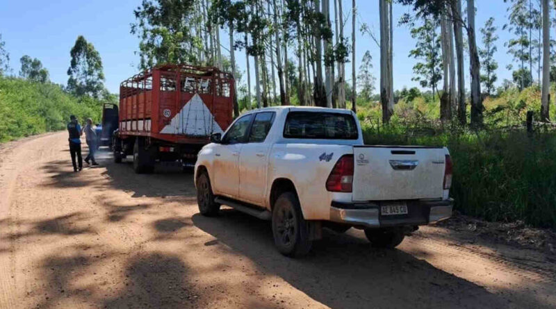 Corrientes, Inseguridad, Abigeato