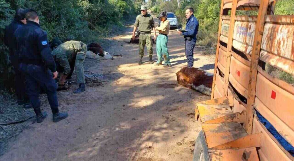 Corrientes, Inseguridad, Abigeato