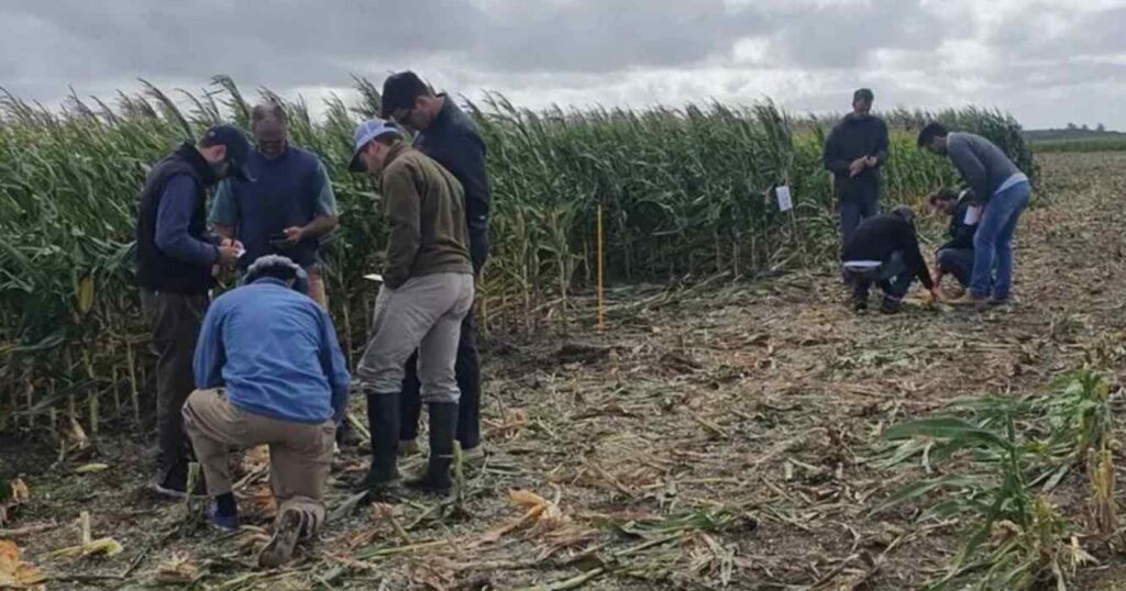 Suelo, agua, campo, agricultura, agro