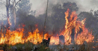 Incendios