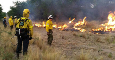 Incendios, La Pampa