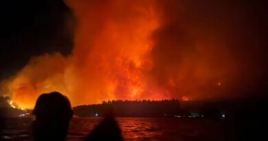 Incendios, Patagonia