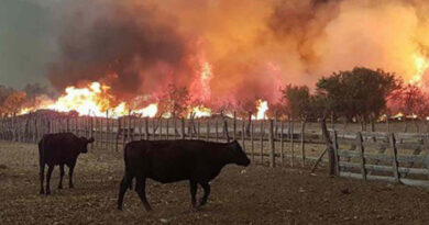 La Pampa, incendios