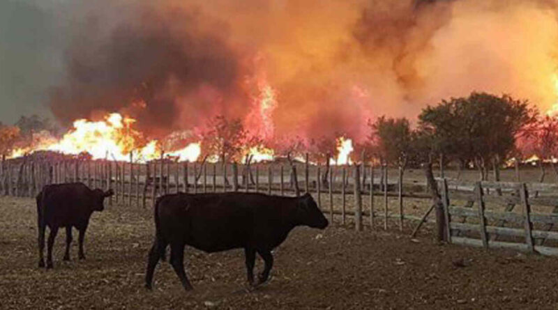La Pampa, incendios