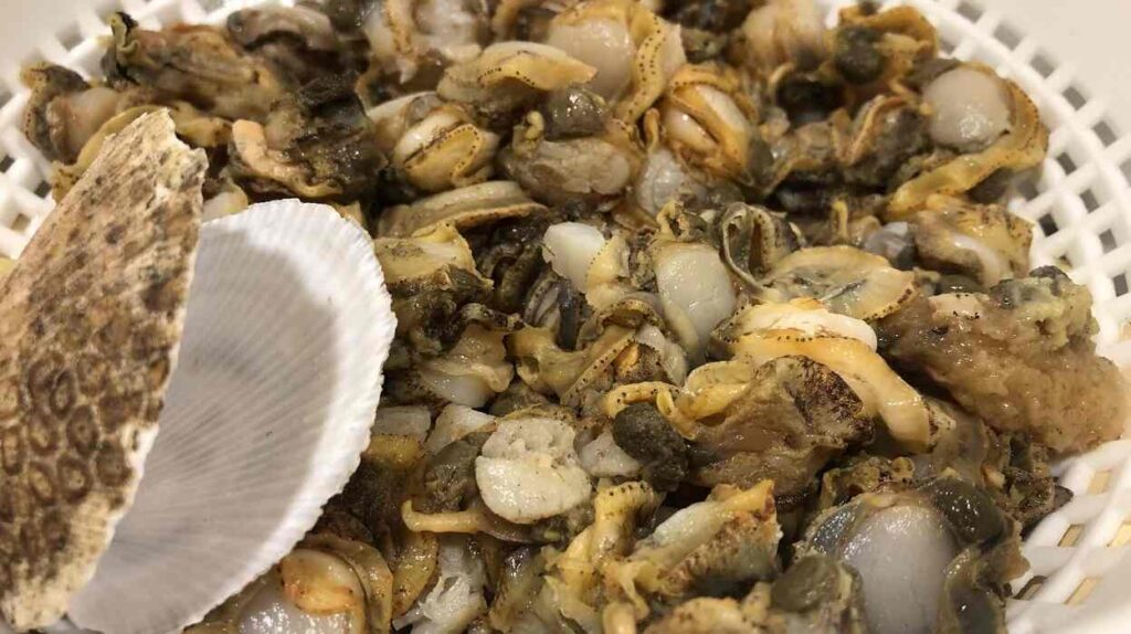 marea roja, mariscos