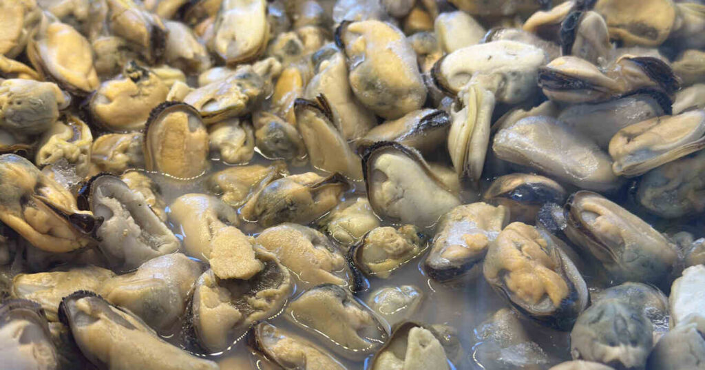 marea roja, mariscos