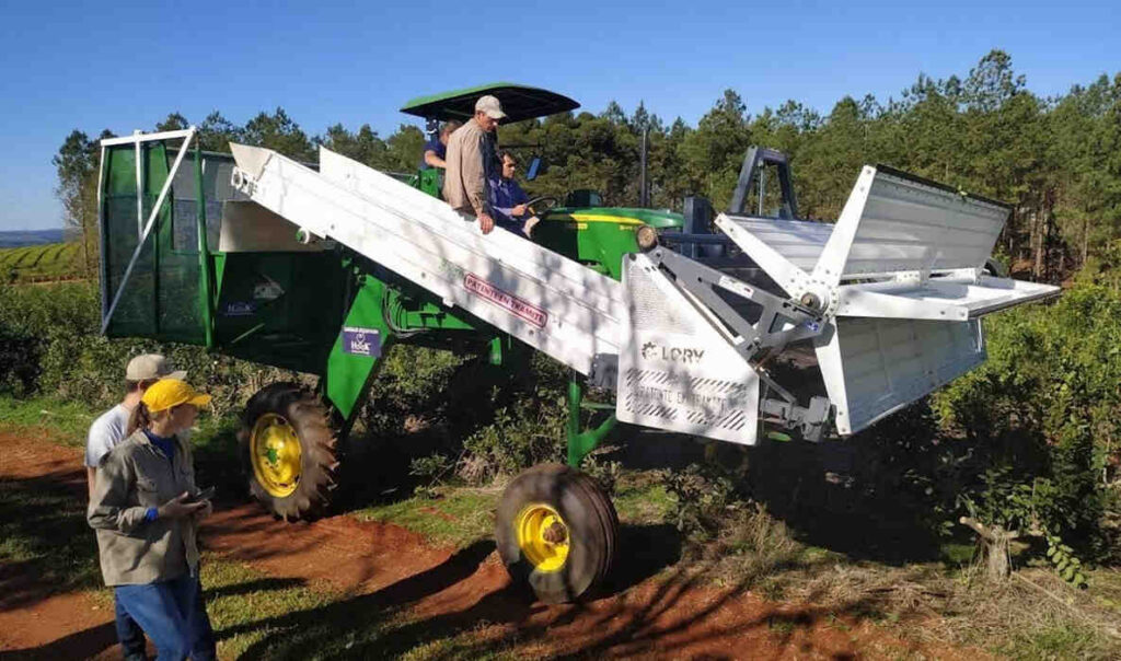 Yerba Mate, Cosecha Mecanizada