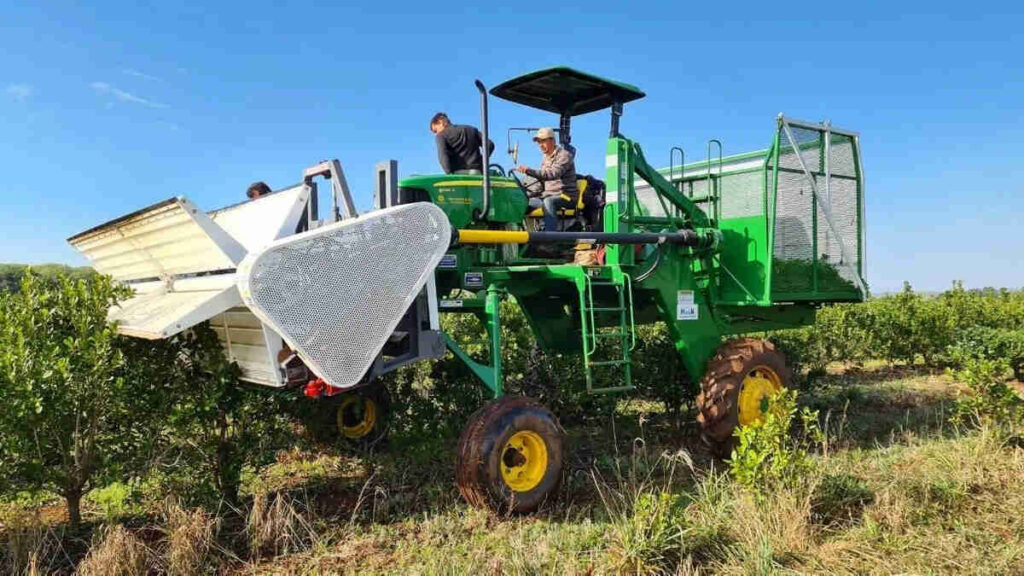 Yerba Mate, Cosecha Mecanizada