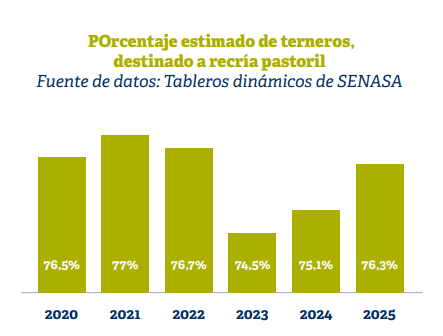 Ganadería, consumo, informe, novillo