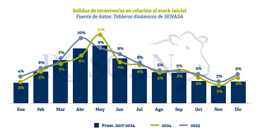Ganadería, consumo, informe, novillo