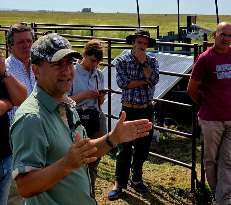 Ganadería, recría, darío colombatto,