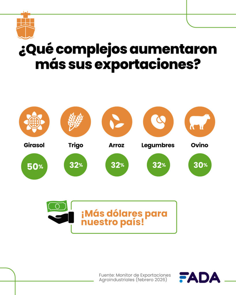 Campo, exportaciones, 2026