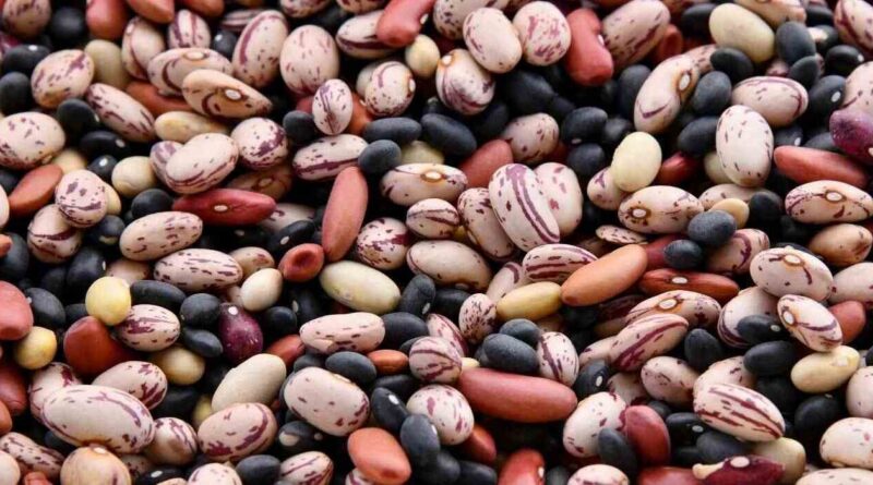 Legumbres