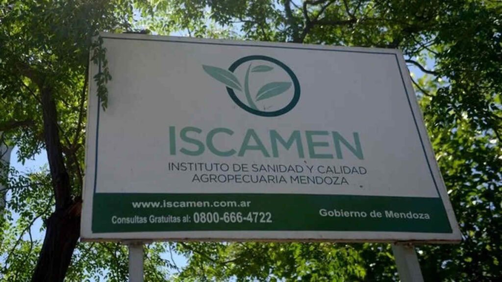 Mendoza, Iscamen