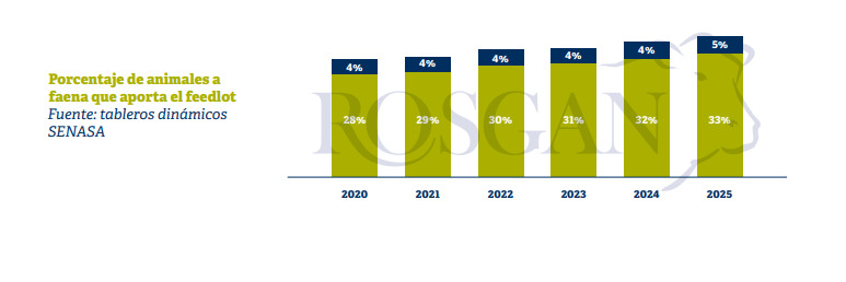 faena, feedlots, ganadería
