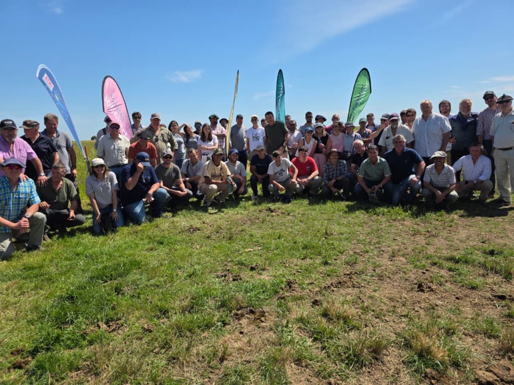 Ganadería, recría, darío colombatto,